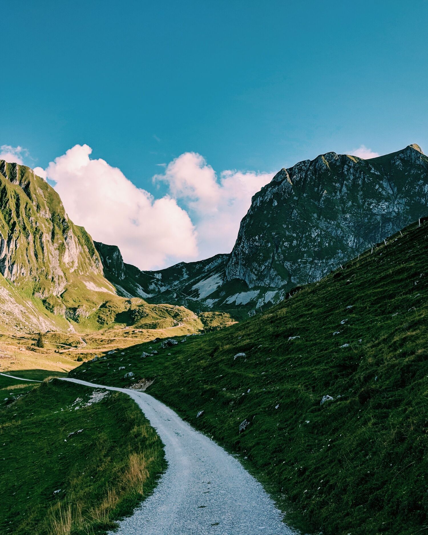 Derek torsani 2fs YQCTQ Mo M unsplash