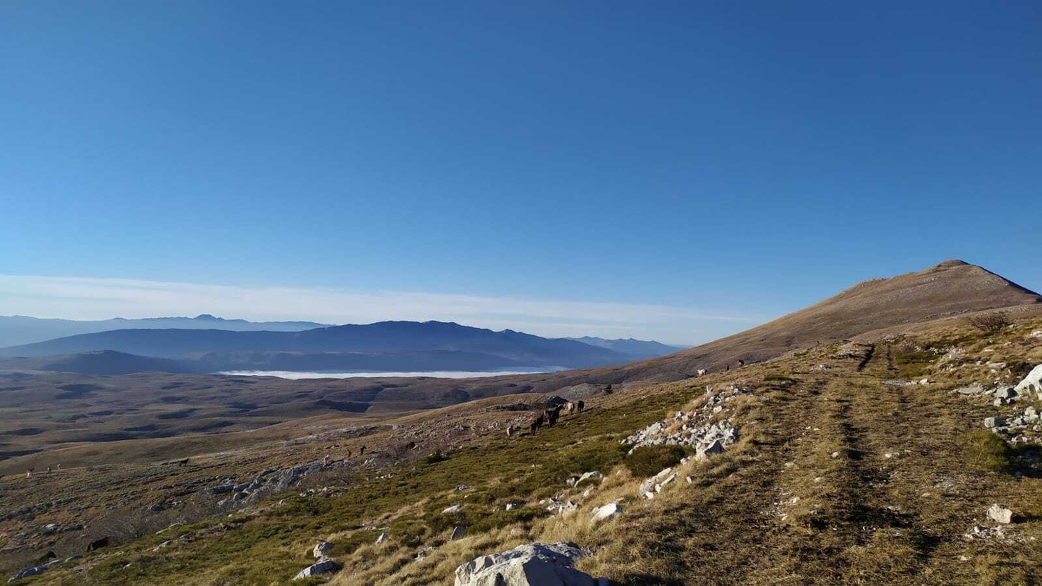 Whats App Image 2023 12 12 at 14 12 20 2