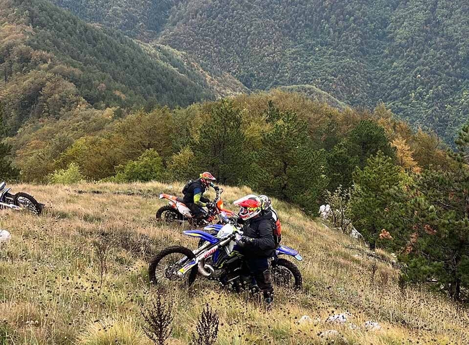 Enduro grip bosnië