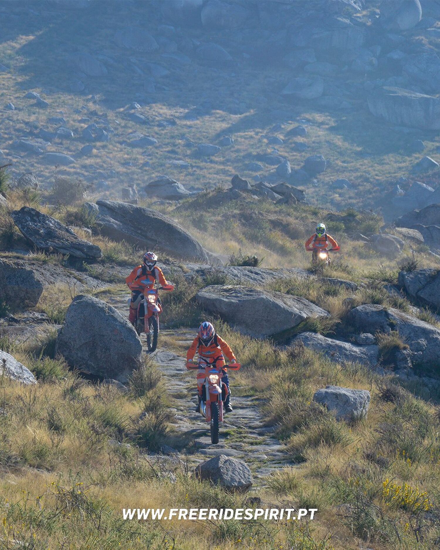 22426197 1642185882487618 2103908177735776107 o