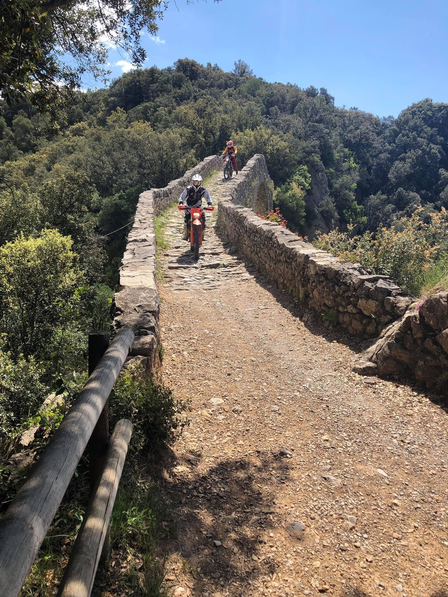 71483707 1763833673760471 5058925708898729984 n