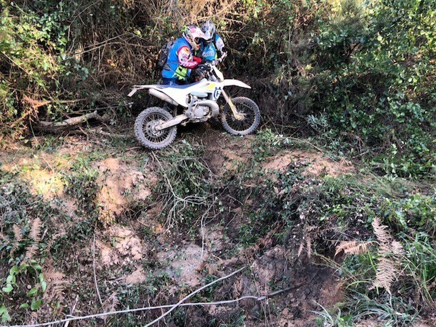 MD enduro 6