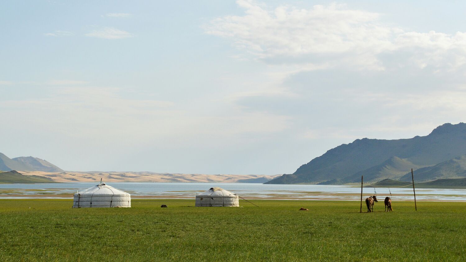 Mongolië