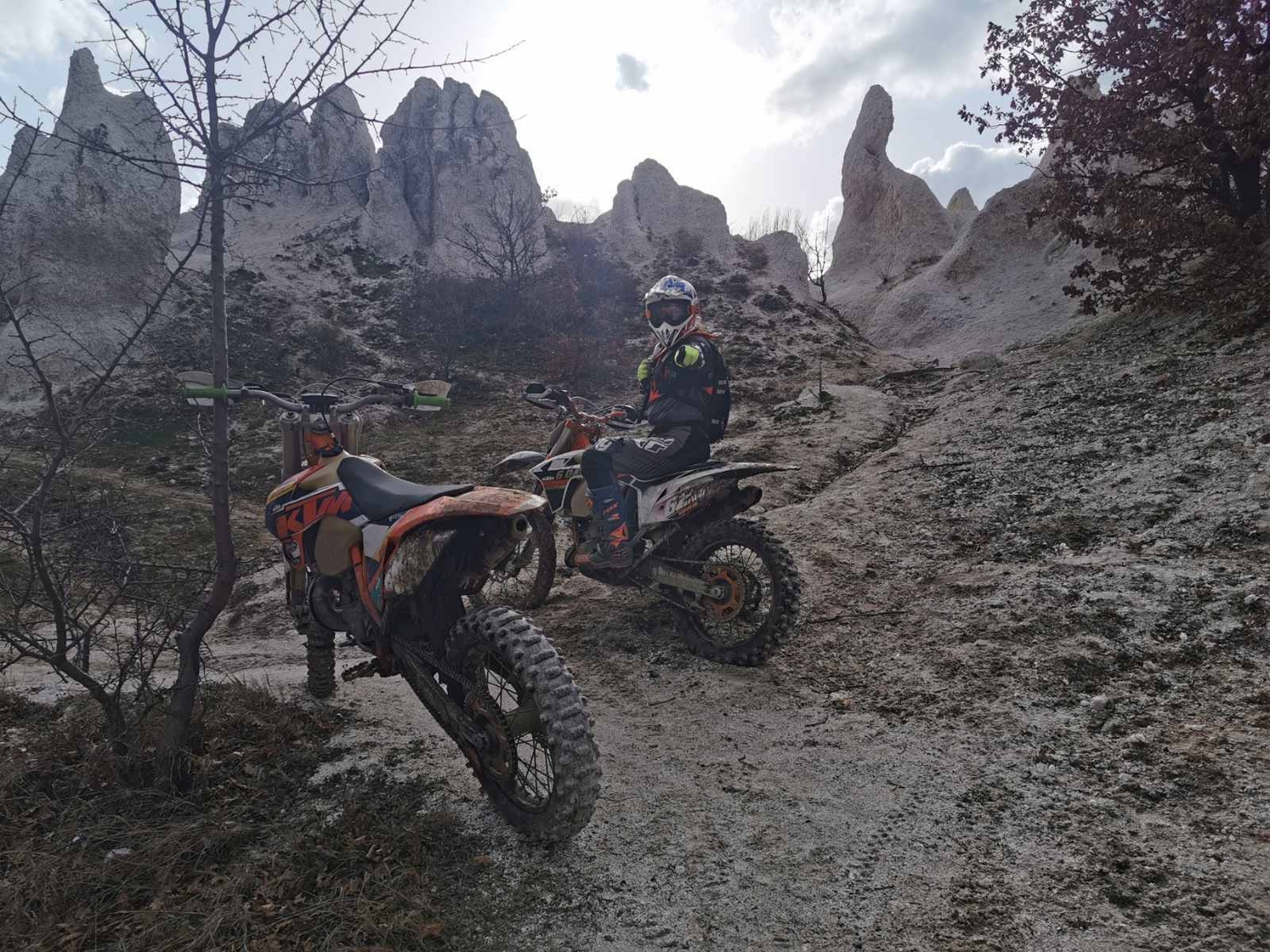 IMG 2d6bec2b75de173e0dc770559eff9264 V