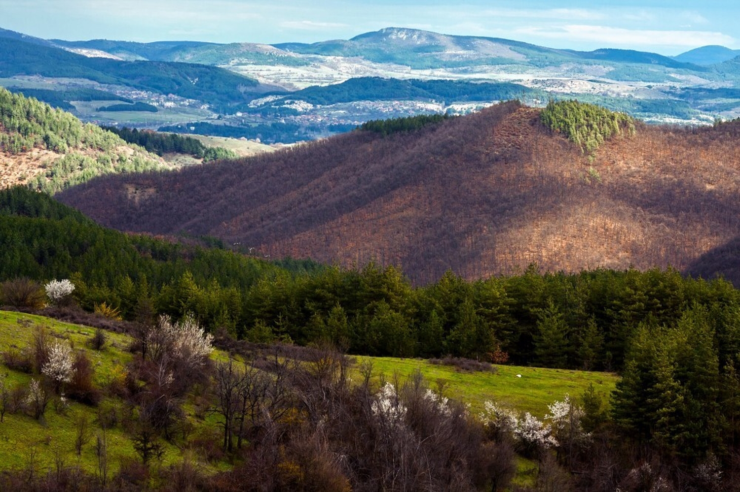 1373 B6 C3 079 B E6 D3 B784 BE3340667 F2 D