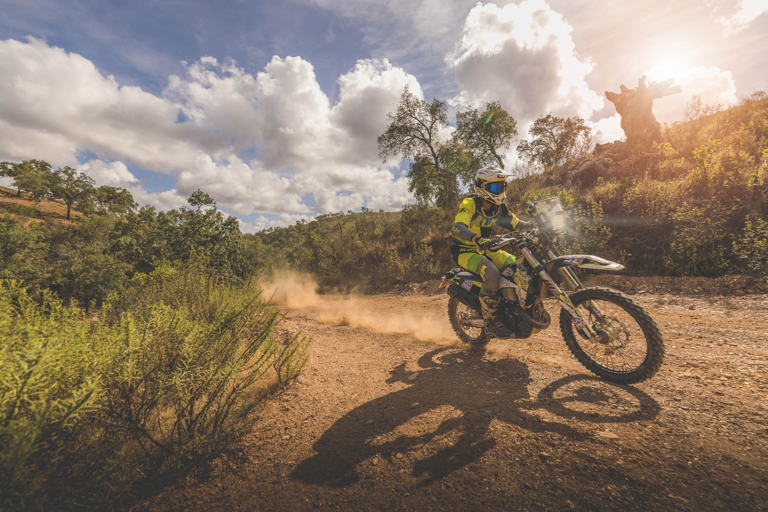 315235973 5670052809738212 4052324637899052064 n